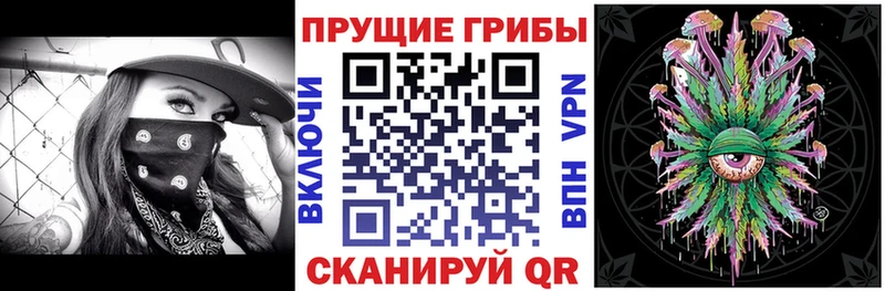 Галлюциногенные грибы мицелий  ссылка на мегу маркетплейс  Аксай 