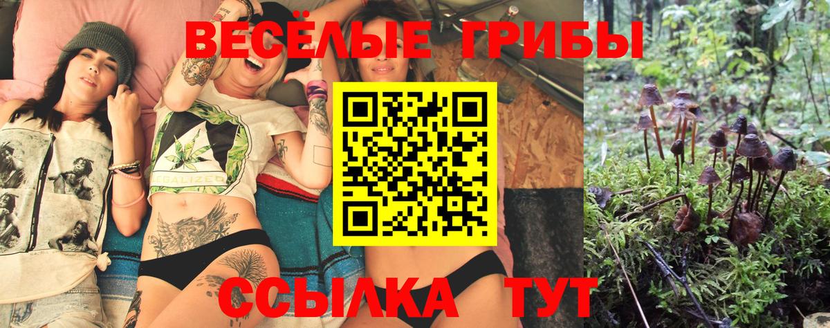 Псилоцибиновые грибы Psilocybine cubensis Аксай