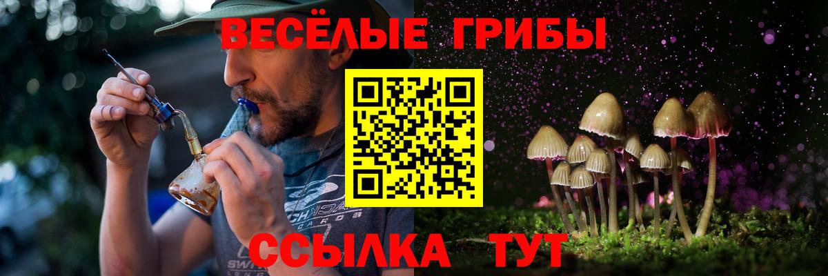 даркнет сайт  Псилоцибиновые грибы ЛСД  Аксай  Вход с VPN  Галлюциногенные грибы Psilocybe 